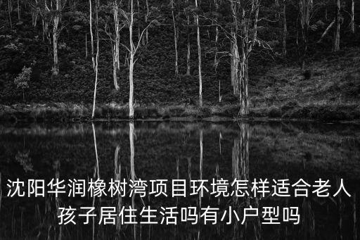 沈陽華潤橡樹灣項目環(huán)境怎樣適合老人孩子居住生活嗎有小戶型嗎