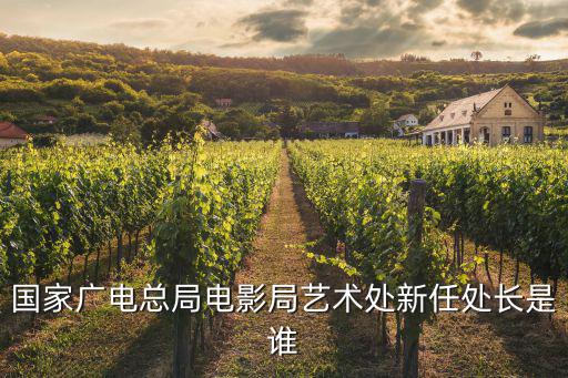 國家廣電總局電影局藝術處新任處長是誰