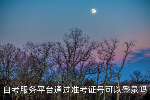 自考服務平臺通過準考證號可以登錄嗎