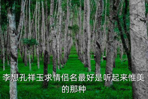 李想孔祥玉求情侶名最好是聽起來惟美的那種