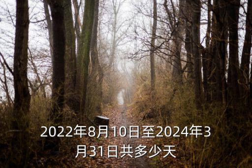 2022年8月10日至2024年3月31日共多少天