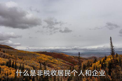 什么是非稅收居民個人和企業