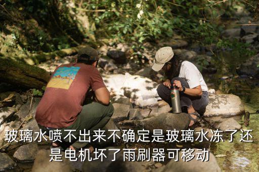 玻璃水噴不出來不確定是玻璃水凍了還是電機(jī)壞了雨刷器可移動