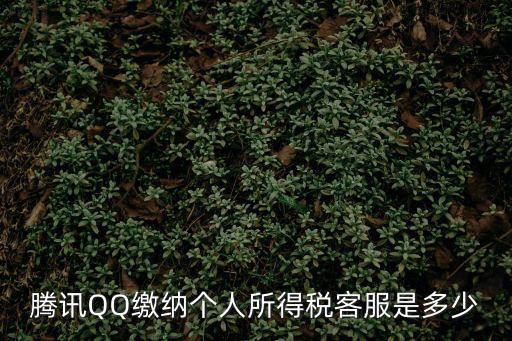 騰訊QQ繳納個人所得稅客服是多少
