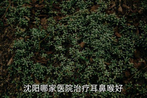 沈陽(yáng)哪家醫(yī)院治療耳鼻喉好