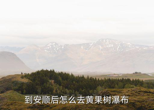 安順到黃果樹瀑布，想知道安順市 從安順市到黃果樹瀑布景區(qū)怎么坐公交