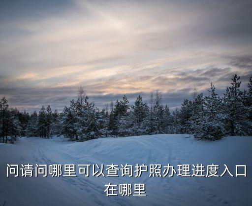 問請問哪里可以查詢護照辦理進度入口在哪里
