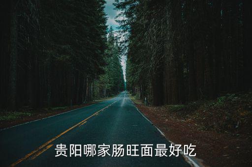 貴陽哪家腸旺面最好吃