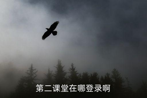 第二課堂在哪登錄啊