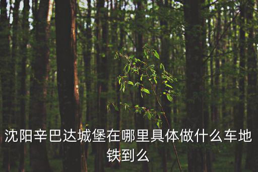 辛巴達歡樂城堡，沈陽辛巴達歡樂城堡咋樣 對于20歲的人來說  帶對象  去哪有意