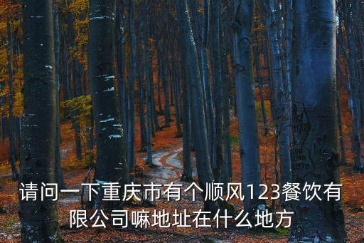 順風123，重慶楊家坪順風123有15人以上包房嗎