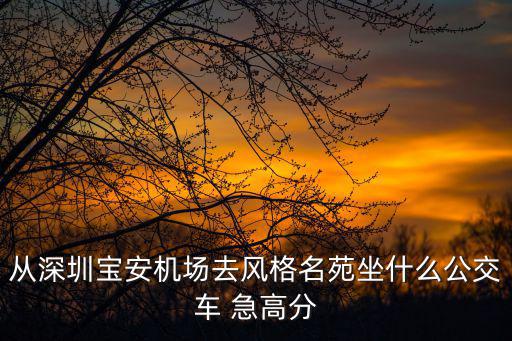 從深圳寶安機場去風格名苑坐什么公交車 急高分