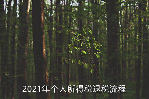 2021年個人所得稅退稅流程
