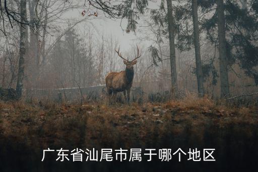 廣東汕尾市，廣東汕尾屬于哪個市