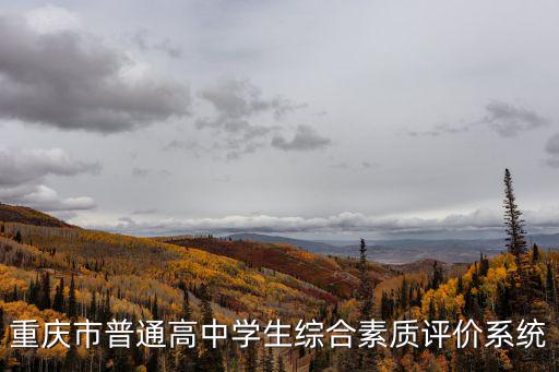 重慶市普通高中學生綜合素質評價系統(tǒng)