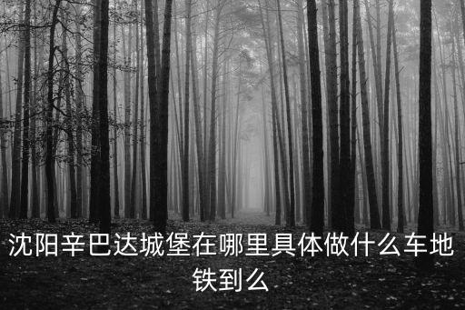 沈陽辛巴達城堡在哪里具體做什么車地鐵到么