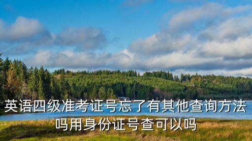 英語四級準考證號忘了有其他查詢方法嗎用身份證號查可以嗎