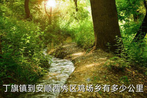丁旗鎮到安順西秀區雞場鄉有多少公里