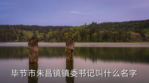 朱昌鎮，畢節市朱昌鎮鎮委書記叫什么名字