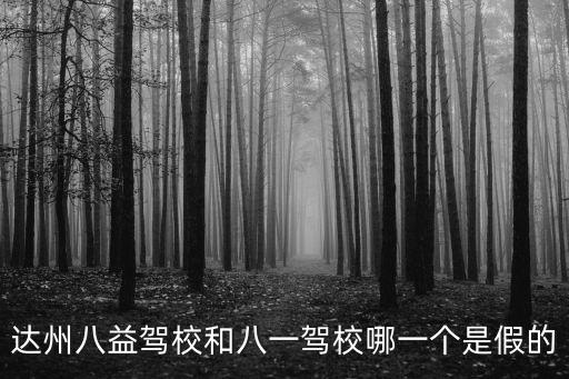 達州八益駕校和八一駕校哪一個是假的