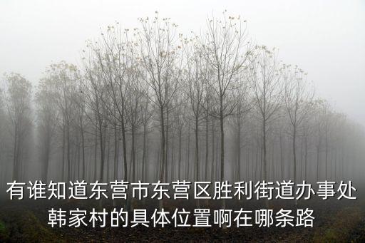 有誰(shuí)知道東營(yíng)市東營(yíng)區(qū)勝利街道辦事處韓家村的具體位置啊在哪條路