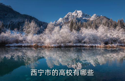 西寧學校，西寧市的高校有哪些