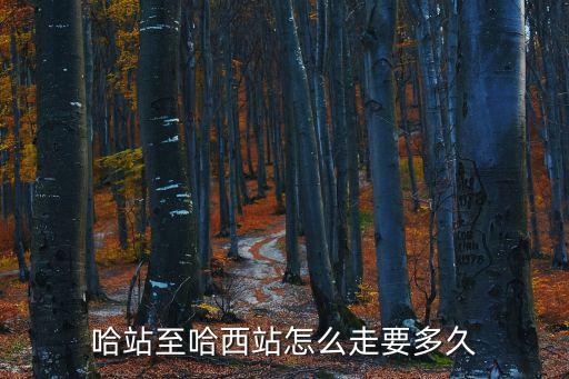 哈站至哈西站怎么走要多久