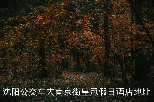 沈陽公交車去南京街皇冠假日酒店地址