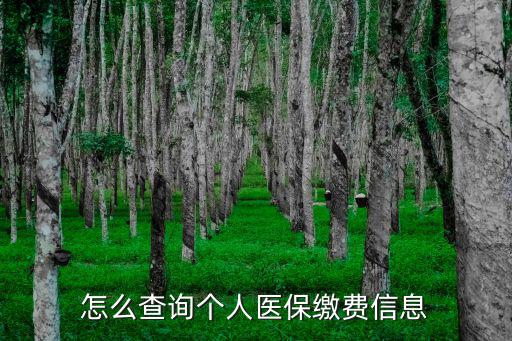 怎么查詢個人醫保繳費信息