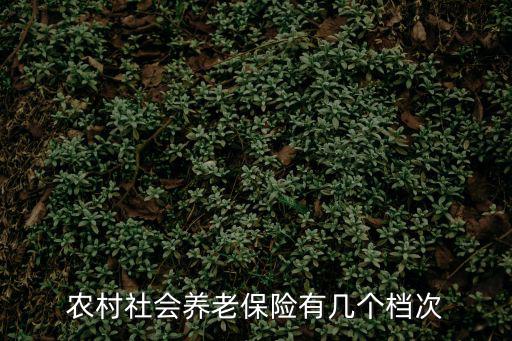 農村社會養老保險有幾個檔次
