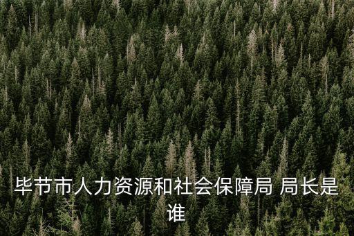 畢節市人力資源和社會保障局 局長是誰