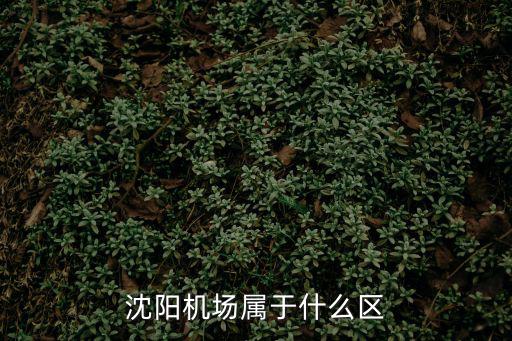 沈陽機場屬于什么區(qū)