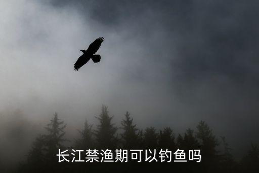 禁漁期可以釣魚嗎，禁漁期能不能釣魚
