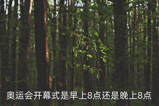 奧運會開幕式是早上8點還是晚上8點