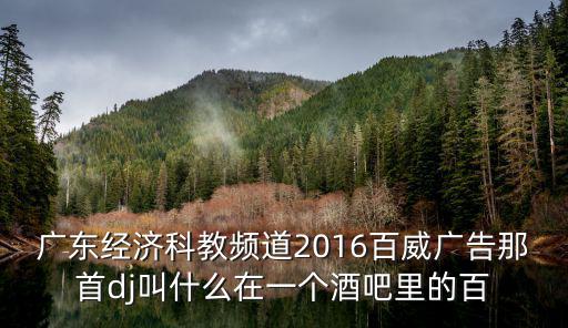 廣東經濟科教，廣東經濟科教頻道2016百威廣告那首dj叫什么在一個酒吧里的百