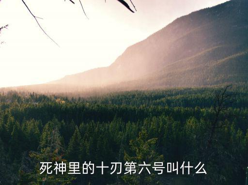 死神里的十刃第六號(hào)叫什么