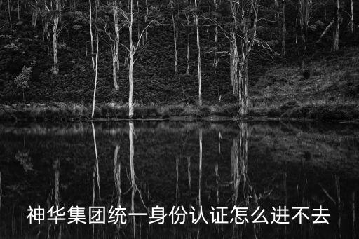 神華集團統一身份認證怎么進不去