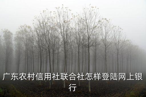 廣東農村信用社聯合社怎樣登陸網上銀行