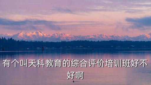 有個叫天科教育的綜合評價培訓班好不好啊