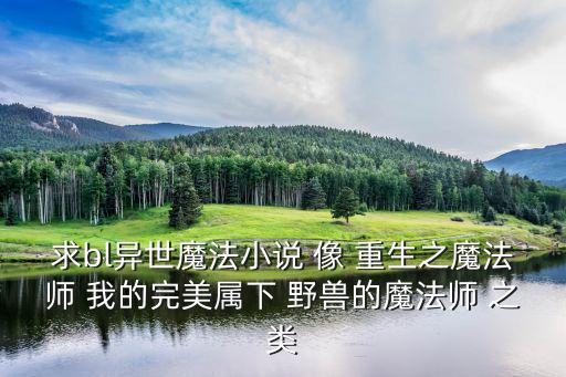 求bl異世魔法小說 像 重生之魔法師 我的完美屬下 野獸的魔法師 之類