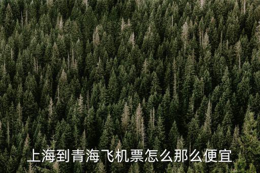 上海到青海，上海到青海 火車票多少錢