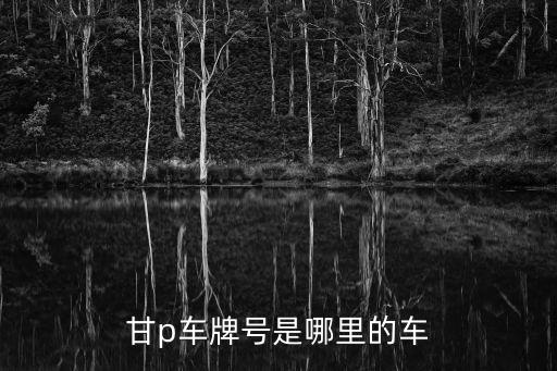 甘p車牌號是哪里的車