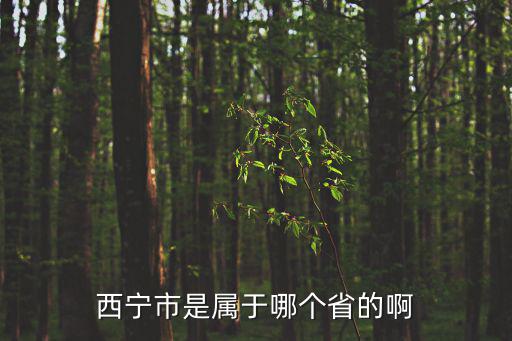 青海西寧在哪里，西寧市是屬于哪個省的啊