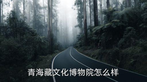 青海藏文化博物院怎么樣