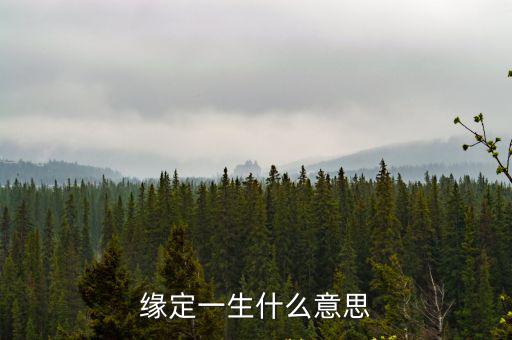 緣定，緣定什么意思求大神幫助