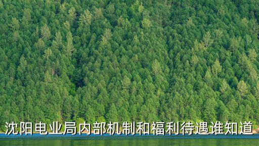 沈陽電業局內部機制和福利待遇誰知道