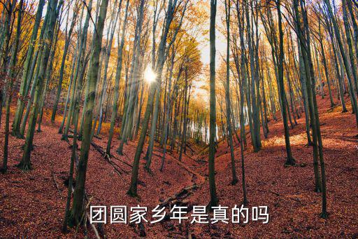 團圓家鄉年是真的嗎