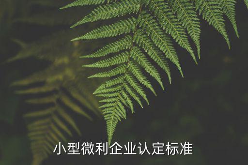 小型微利企業(yè)認(rèn)定標(biāo)準(zhǔn)