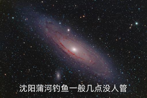 沈陽蒲河釣魚一般幾點(diǎn)沒人管