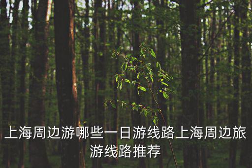 上海周邊游哪些一日游線路上海周邊旅游線路推薦